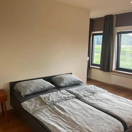 Loft * Voeren